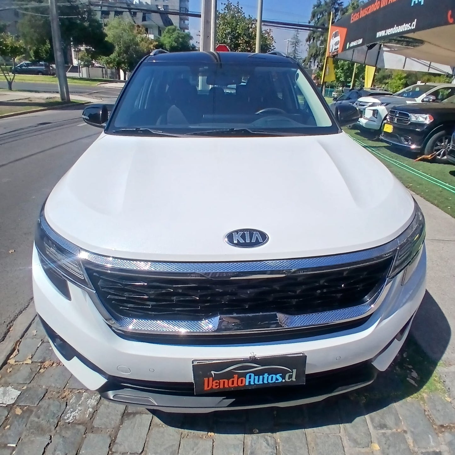 Kia Seltos MPI 1.6 MT 2022 – Moderna, Segura y Full Equipo